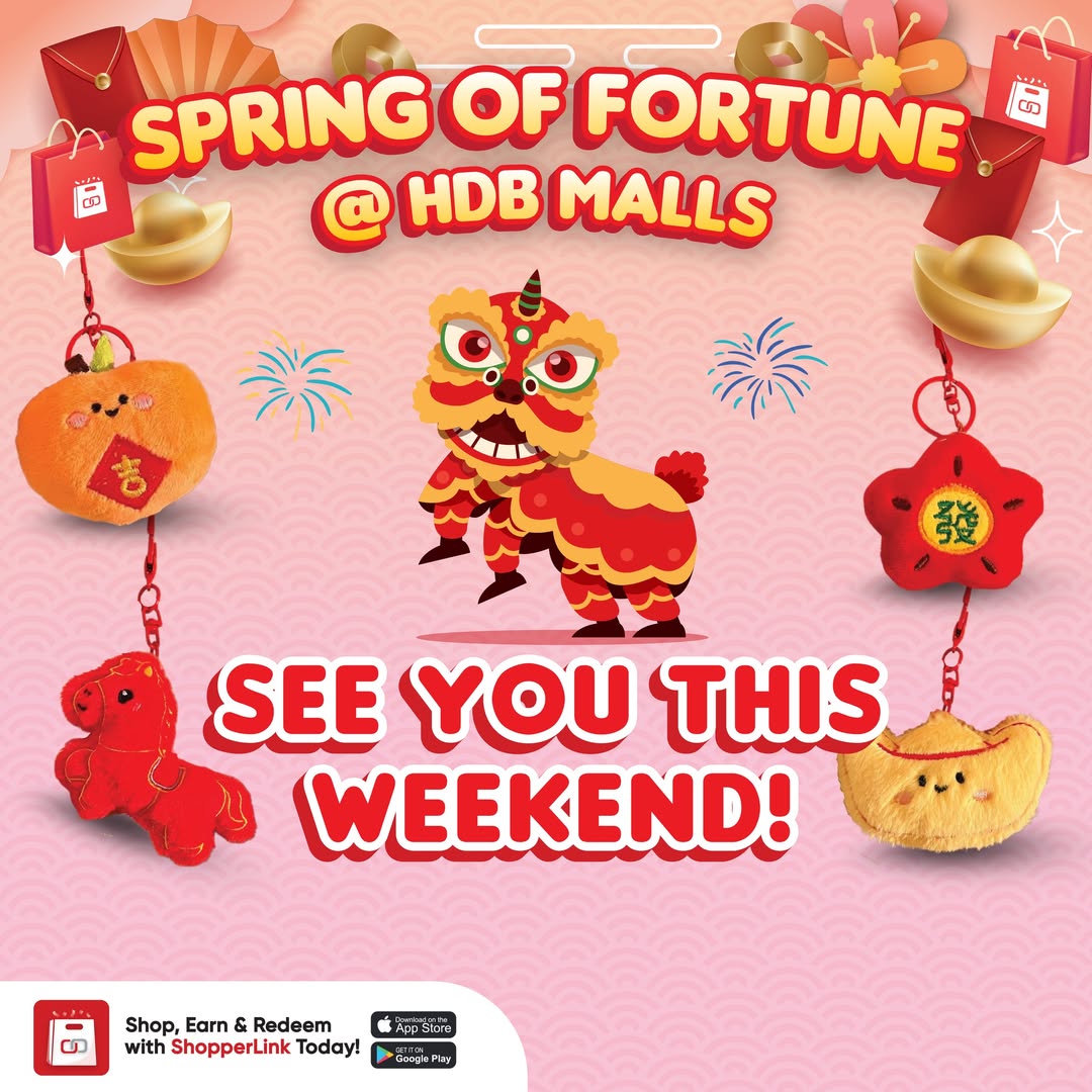 Lunar New Year celebration at Anchorvale Village