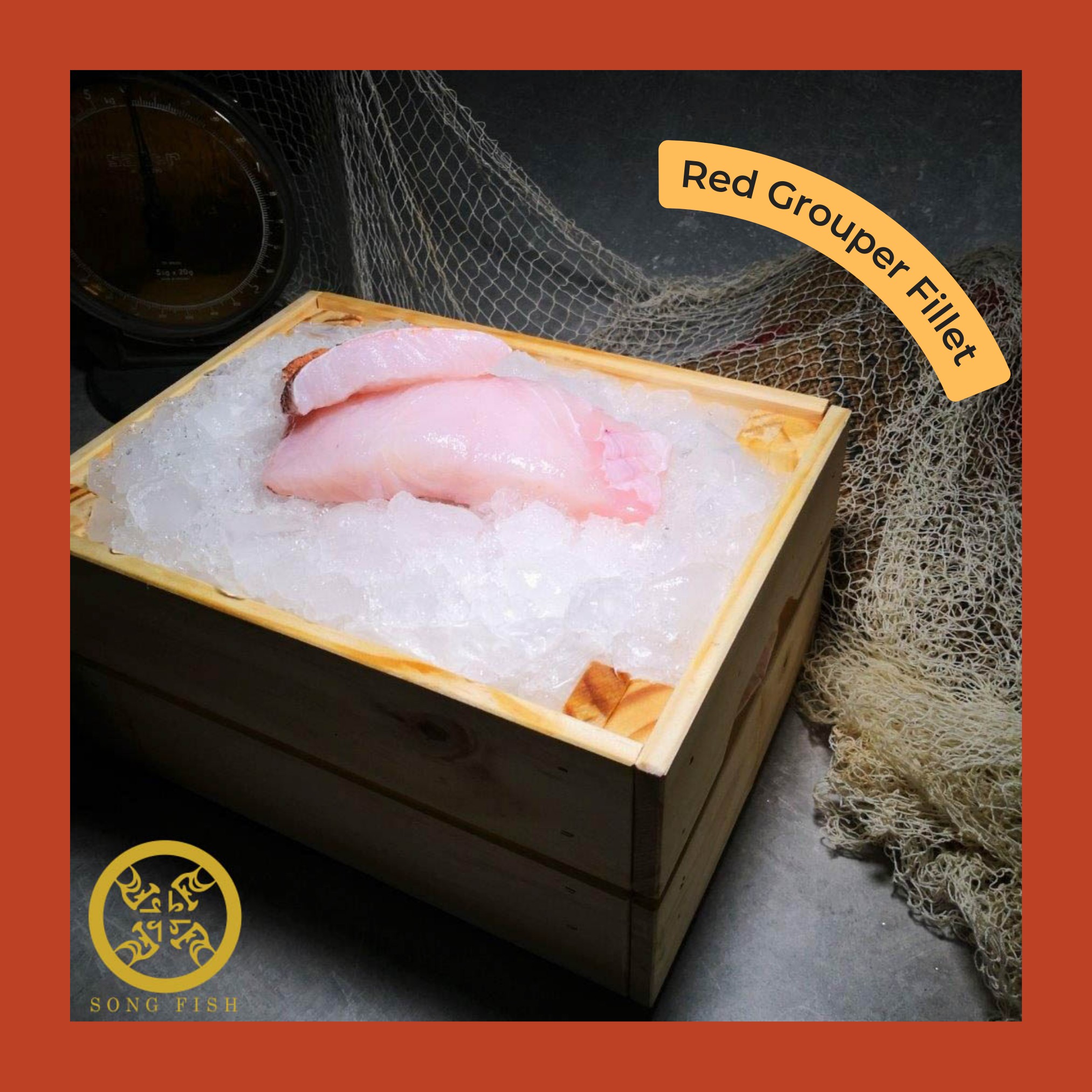Selection of high-quality seafood cuts available